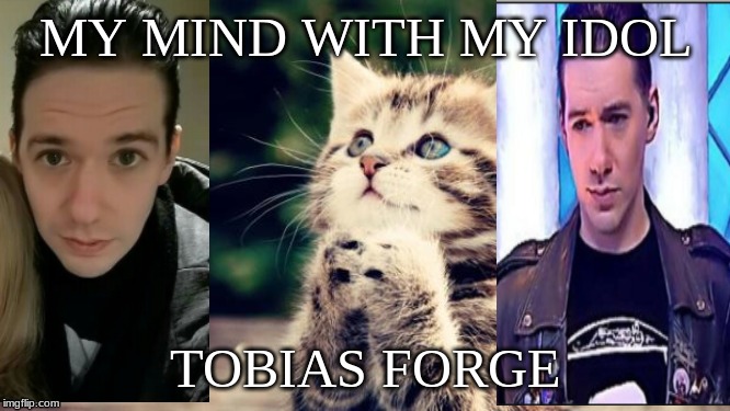 Tobias Forge | MY MIND WITH MY IDOL; TOBIAS FORGE | image tagged in cute kitten,tobias forge | made w/ Imgflip meme maker