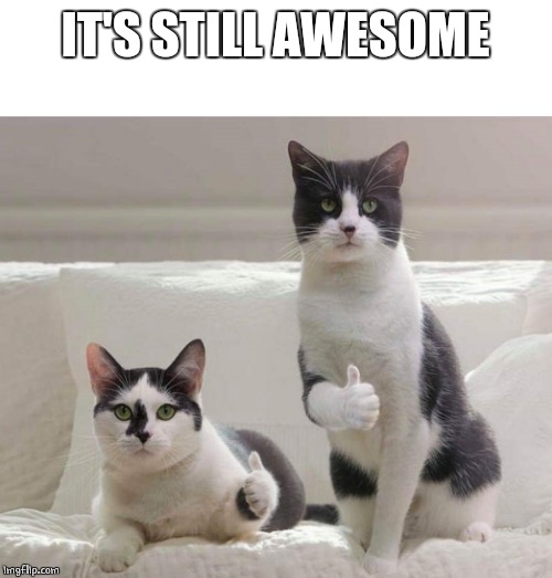 Cat Thumbs Up | IT'S STILL AWESOME | image tagged in cat thumbs up | made w/ Imgflip meme maker
