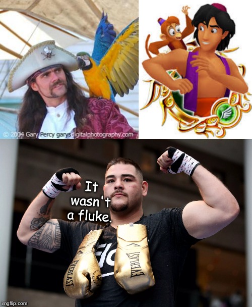 different kinds of pirates . . . . | It wasn't a fluke. | image tagged in memes,boxing | made w/ Imgflip meme maker