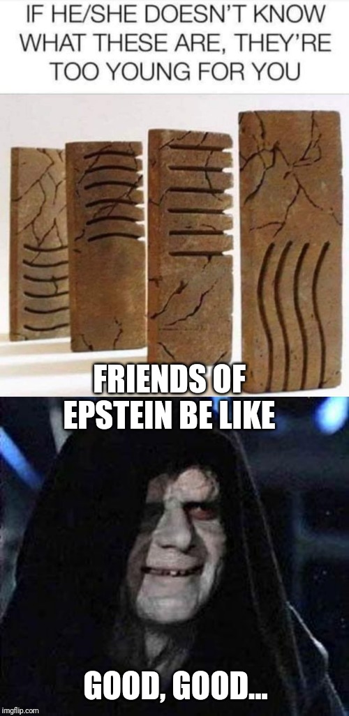 FRIENDS OF EPSTEIN BE LIKE; GOOD, GOOD... | image tagged in good good | made w/ Imgflip meme maker