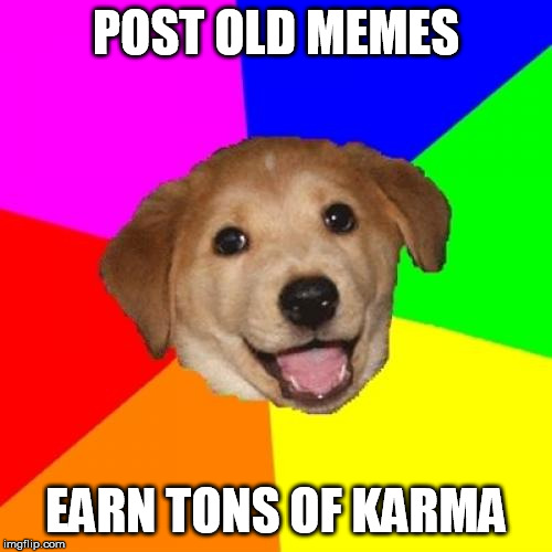 Advice Dog Meme | POST OLD MEMES; EARN TONS OF KARMA | image tagged in memes,advice dog,AdviceAnimals | made w/ Imgflip meme maker