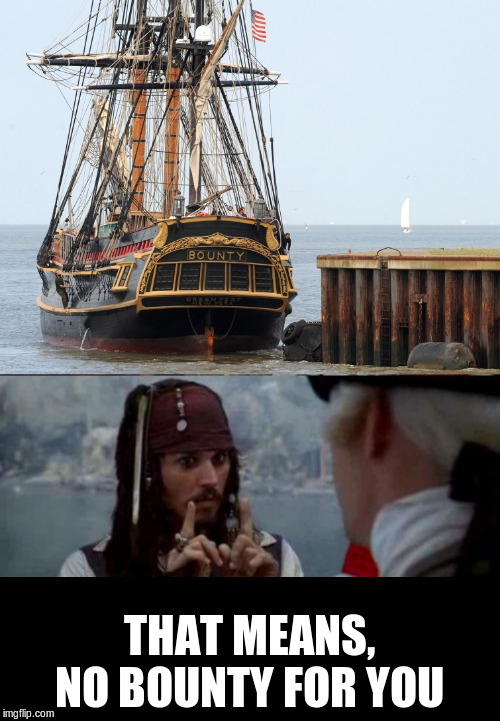 THAT MEANS, NO BOUNTY FOR YOU | image tagged in jack sparrow you have heard of me | made w/ Imgflip meme maker