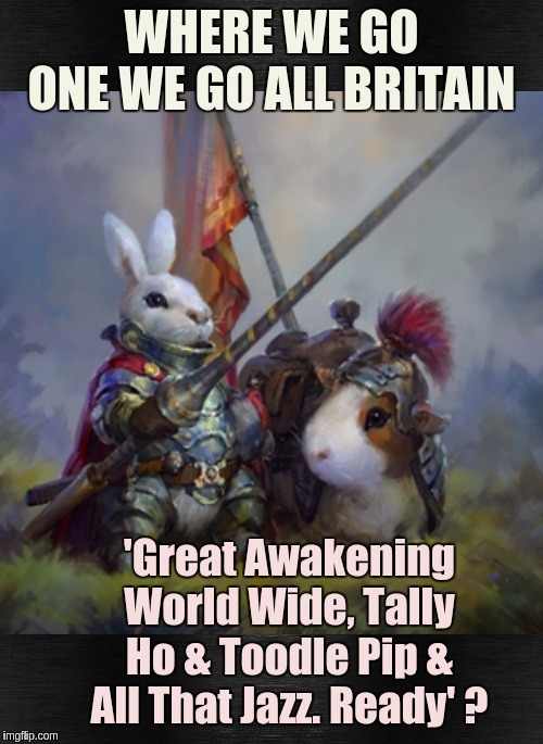 #WWG1WGA | WHERE WE GO ONE WE GO ALL BRITAIN; 'Great Awakening World Wide, Tally Ho & Toodle Pip & All That Jazz. Ready' ? | image tagged in qanon,the great awakening,jfk,snow storm,stormtroopers,shitstorm | made w/ Imgflip meme maker