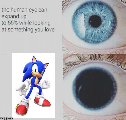 Sonic fans in a nutshell | image tagged in eye pupil expand,sonic the hedgehog,sonic,sega | made w/ Imgflip meme maker