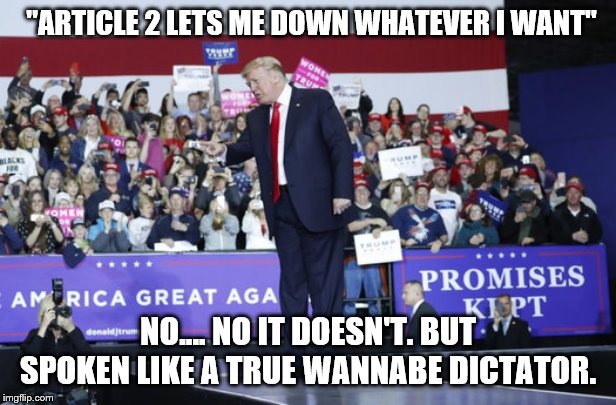 Trump rally | "ARTICLE 2 LETS ME DOWN WHATEVER I WANT"; NO.... NO IT DOESN'T. BUT SPOKEN LIKE A TRUE WANNABE DICTATOR. | image tagged in trump rally | made w/ Imgflip meme maker