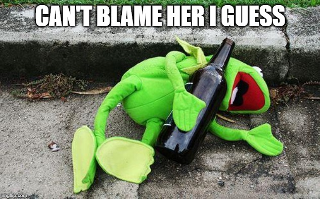 Drunk Kermit | CAN'T BLAME HER I GUESS | image tagged in drunk kermit | made w/ Imgflip meme maker