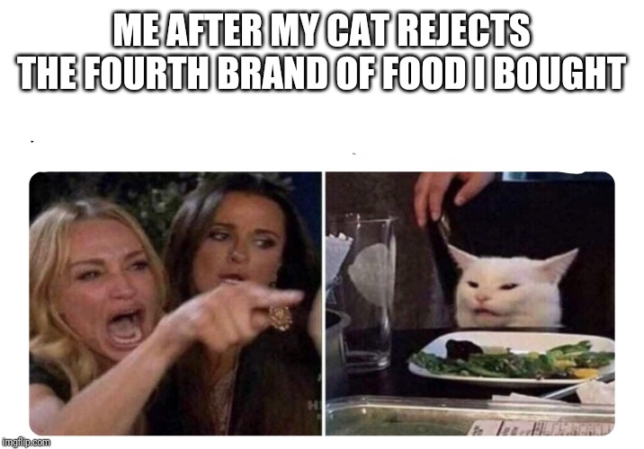 Housewives cat | ME AFTER MY CAT REJECTS THE FOURTH BRAND OF FOOD I BOUGHT | image tagged in housewives cat | made w/ Imgflip meme maker