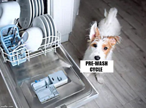 pre-wash cycle | PRE-WASH
CYCLE | image tagged in dish washer,dog,pre-wash | made w/ Imgflip meme maker