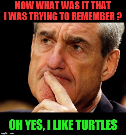 Foggy | NOW WHAT WAS IT THAT I WAS TRYING TO REMEMBER ? OH YES, I LIKE TURTLES | image tagged in robert mueller deep thought,i like turtles | made w/ Imgflip meme maker