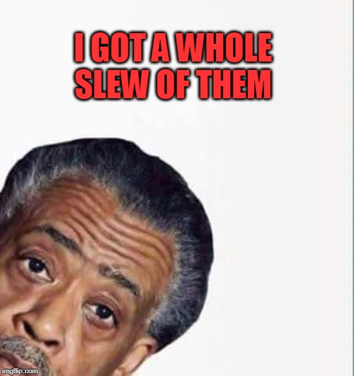 al sharpton | I GOT A WHOLE SLEW OF THEM | image tagged in al sharpton | made w/ Imgflip meme maker