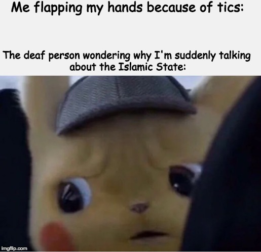 could be worse. | Me flapping my hands because of tics:; The deaf person wondering why I'm suddenly talking 
about the Islamic State: | image tagged in detective pikachu,autism | made w/ Imgflip meme maker