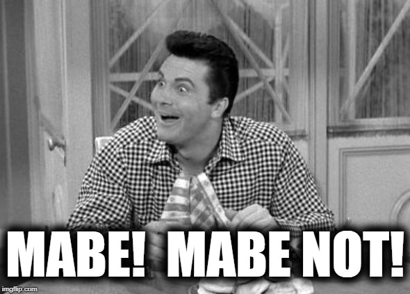 jethro | MABE!  MABE NOT! | image tagged in jethro | made w/ Imgflip meme maker