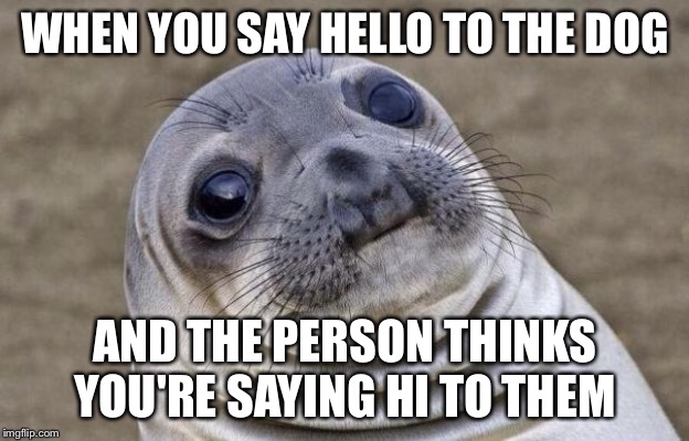 I don’t care about you, I just want to pet your dog | WHEN YOU SAY HELLO TO THE DOG; AND THE PERSON THINKS YOU'RE SAYING HI TO THEM | image tagged in memes,awkward moment sealion | made w/ Imgflip meme maker