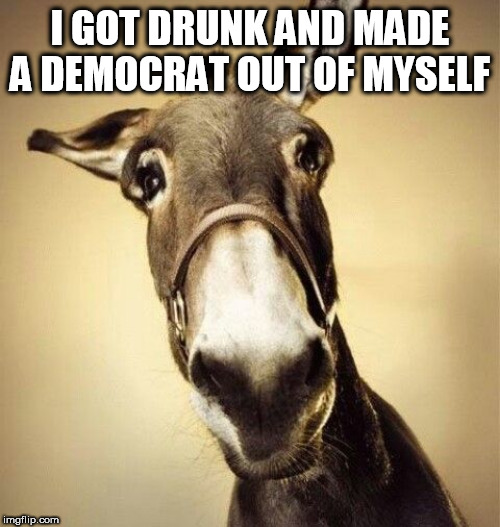 Mule | I GOT DRUNK AND MADE A DEMOCRAT OUT OF MYSELF | image tagged in mule | made w/ Imgflip meme maker