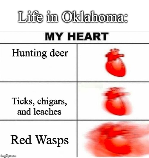 Life in Oklahoma | Life in Oklahoma:; Hunting deer; Ticks, chigars, and leaches; Red Wasps | image tagged in heartbeat | made w/ Imgflip meme maker