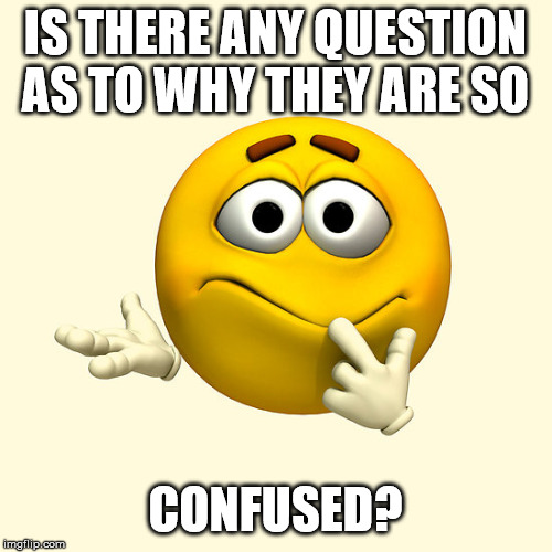 IS THERE ANY QUESTION AS TO WHY THEY ARE SO CONFUSED? | made w/ Imgflip meme maker