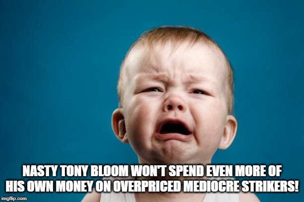 BABY CRYING | NASTY TONY BLOOM WON'T SPEND EVEN MORE OF HIS OWN MONEY ON OVERPRICED MEDIOCRE STRIKERS! | image tagged in baby crying | made w/ Imgflip meme maker
