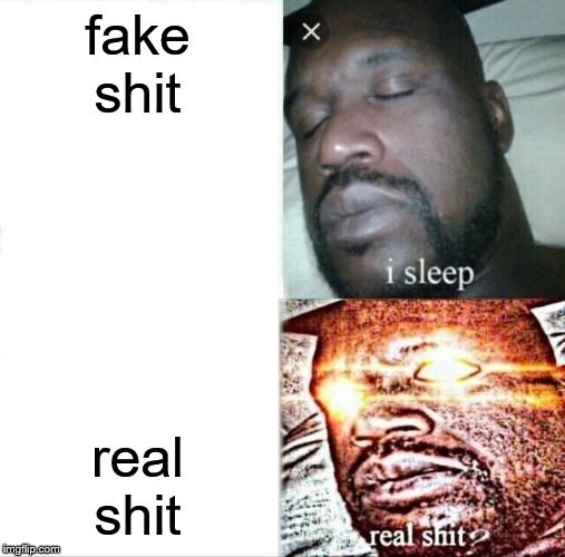 Sleeping Shaq Meme | fake shit; real shit | image tagged in memes,sleeping shaq | made w/ Imgflip meme maker