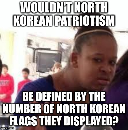 Duh | WOULDN'T NORTH KOREAN PATRIOTISM BE DEFINED BY THE NUMBER OF NORTH KOREAN FLAGS THEY DISPLAYED? | image tagged in duh | made w/ Imgflip meme maker
