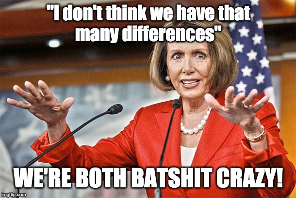 Nancy Pelosi is crazy | "I don't think we have that
many differences" WE'RE BOTH BATSHIT CRAZY! | image tagged in nancy pelosi is crazy | made w/ Imgflip meme maker