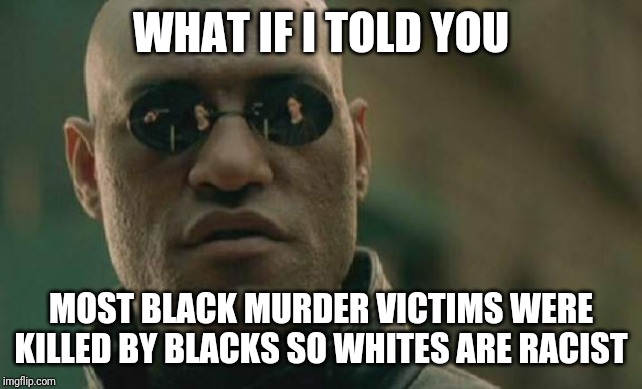 Stats dont lie unless it goes against the liberals | WHAT IF I TOLD YOU; MOST BLACK MURDER VICTIMS WERE KILLED BY BLACKS SO WHITES ARE RACIST | image tagged in memes,matrix morpheus | made w/ Imgflip meme maker