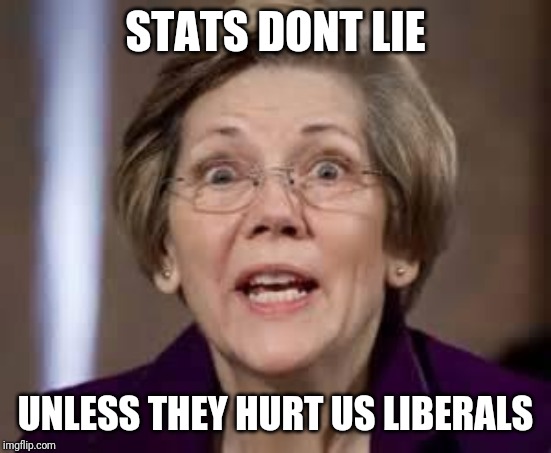 Full Retard Senator Elizabeth Warren | STATS DONT LIE; UNLESS THEY HURT US LIBERALS | image tagged in full retard senator elizabeth warren | made w/ Imgflip meme maker