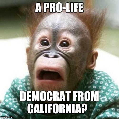 Shocked Monkey | A PRO-LIFE DEMOCRAT FROM CALIFORNIA? | image tagged in shocked monkey | made w/ Imgflip meme maker