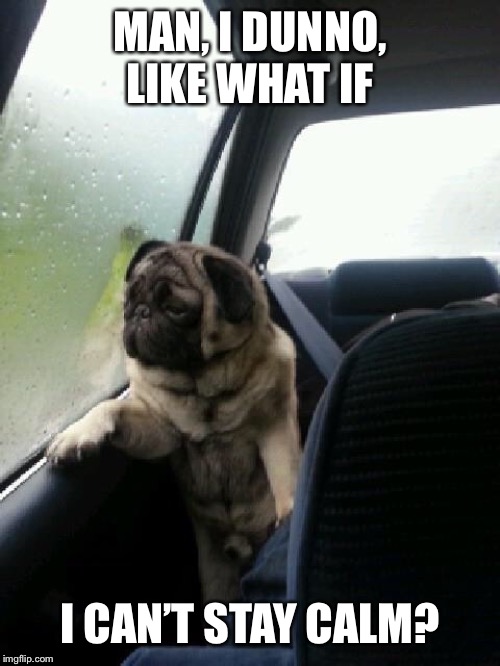Introspective Pug | MAN, I DUNNO, LIKE WHAT IF I CAN’T STAY CALM? | image tagged in introspective pug | made w/ Imgflip meme maker
