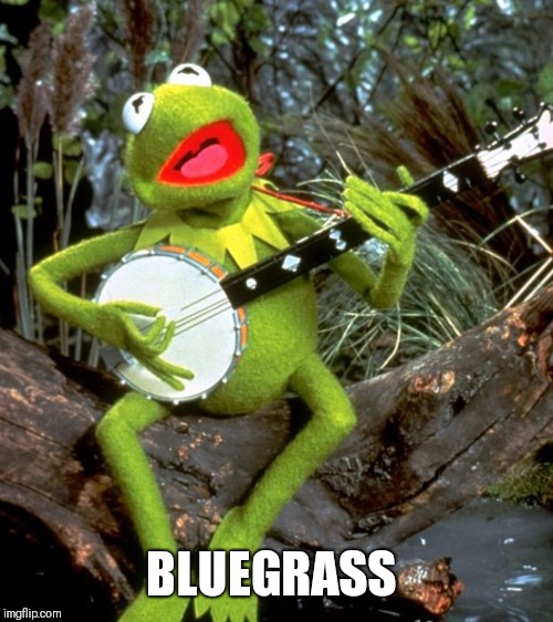 Kermit Banjo | BLUEGRASS | image tagged in kermit banjo | made w/ Imgflip meme maker