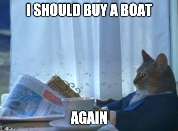 I Should Buy A Boat Cat | I SHOULD BUY A BOAT; AGAIN | image tagged in memes,i should buy a boat cat,AdviceAnimals | made w/ Imgflip meme maker