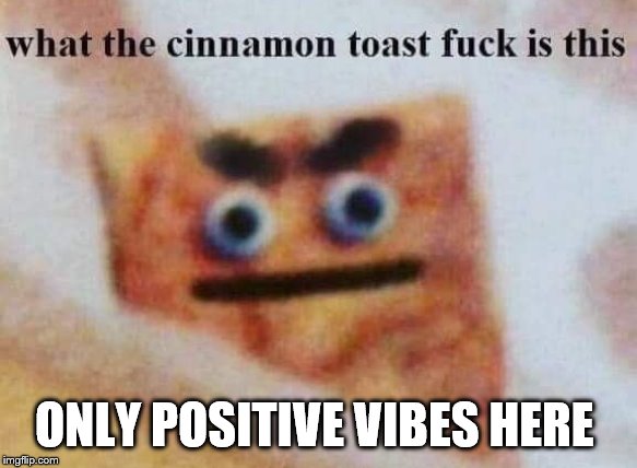 what the cinnamon toast f^%$ is this |  ONLY POSITIVE VIBES HERE | image tagged in what the cinnamon toast f is this | made w/ Imgflip meme maker
