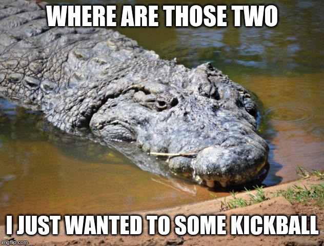 Crocodile | WHERE ARE THOSE TWO I JUST WANTED TO SOME KICKBALL | image tagged in crocodile | made w/ Imgflip meme maker