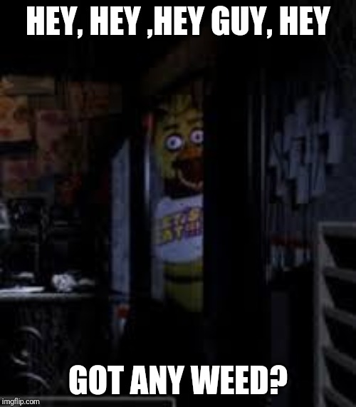 Look at her eyes and it makes sense | HEY, HEY ,HEY GUY, HEY; GOT ANY WEED? | image tagged in chica looking in window fnaf | made w/ Imgflip meme maker