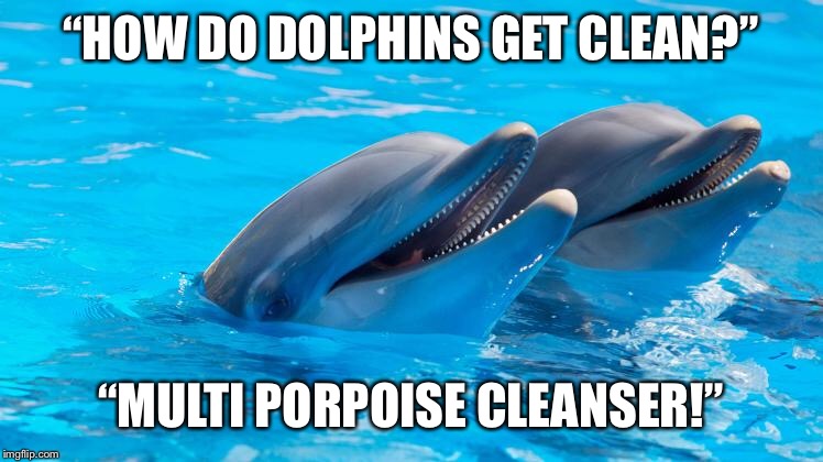 More dolphin jokes | “HOW DO DOLPHINS GET CLEAN?”; “MULTI PORPOISE CLEANSER!” | image tagged in dumb joke dolphin | made w/ Imgflip meme maker