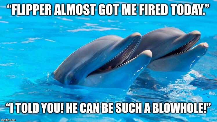 Dolphin A-holes | “FLIPPER ALMOST GOT ME FIRED TODAY.”; “I TOLD YOU! HE CAN BE SUCH A BLOWHOLE!” | image tagged in dumb joke dolphin | made w/ Imgflip meme maker