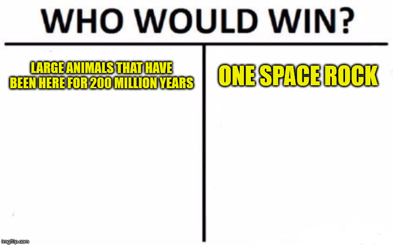 The dinos never saur that coming | LARGE ANIMALS THAT HAVE BEEN HERE FOR 200 MILLION YEARS; ONE SPACE ROCK | image tagged in memes,who would win | made w/ Imgflip meme maker