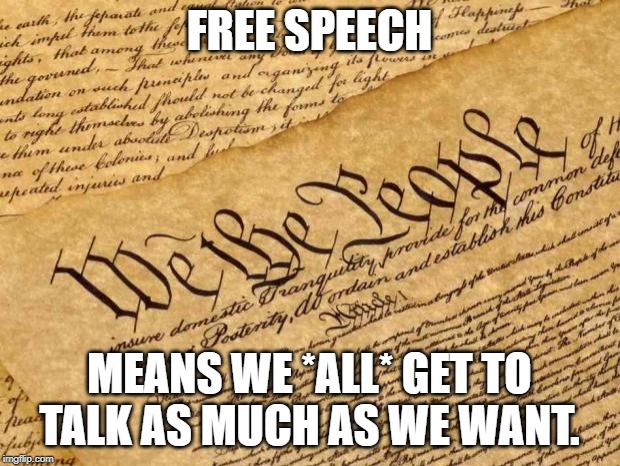 Constitution | FREE SPEECH; MEANS WE *ALL* GET TO TALK AS MUCH AS WE WANT. | image tagged in constitution | made w/ Imgflip meme maker