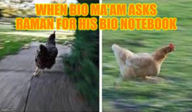 running chicken | WHEN BIO MA'AM ASKS RAMAN FOR HIS BIO NOTEBOOK | image tagged in running chicken | made w/ Imgflip meme maker