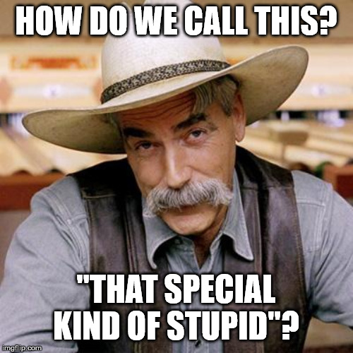 SARCASM COWBOY | HOW DO WE CALL THIS? "THAT SPECIAL KIND OF STUPID"? | image tagged in sarcasm cowboy | made w/ Imgflip meme maker