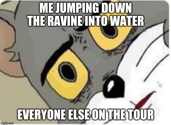 Tom and Jerry meme | ME JUMPING DOWN THE RAVINE INTO WATER; EVERYONE ELSE ON THE TOUR | image tagged in tom and jerry meme | made w/ Imgflip meme maker