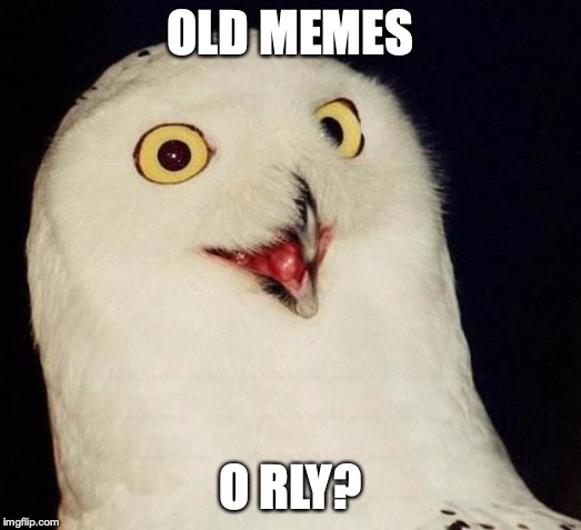 O RLY? | OLD MEMES; O RLY? | image tagged in o rly,AdviceAnimals | made w/ Imgflip meme maker