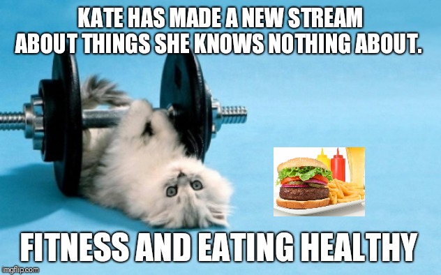cat fitness | KATE HAS MADE A NEW STREAM ABOUT THINGS SHE KNOWS NOTHING ABOUT. FITNESS AND EATING HEALTHY | image tagged in cat fitness | made w/ Imgflip meme maker