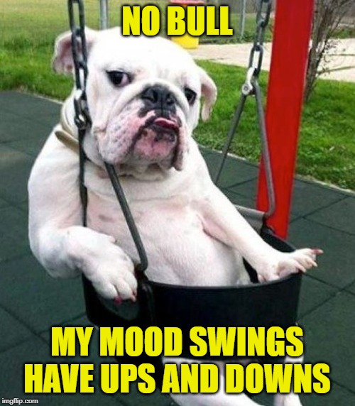 NO BULL MY MOOD SWINGS HAVE UPS AND DOWNS | made w/ Imgflip meme maker