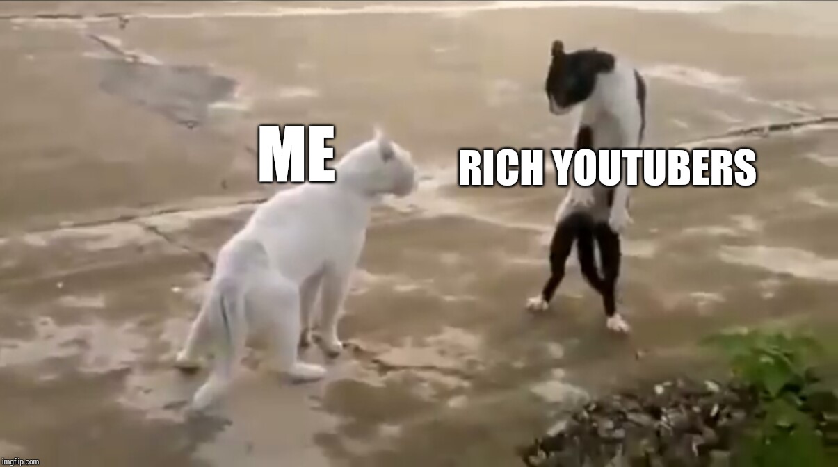 Tall Kitten | RICH YOUTUBERS; ME | image tagged in kitten,cats,memes,mlp,fun post,pony | made w/ Imgflip meme maker