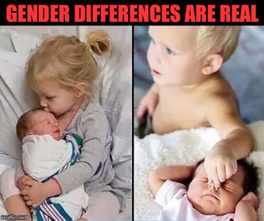 GENDER DIFFERENCES ARE REAL | image tagged in 2 genders | made w/ Imgflip meme maker