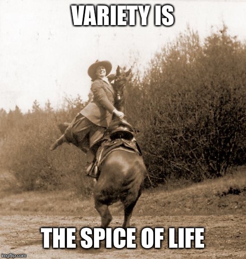 reverse cowgirl | VARIETY IS THE SPICE OF LIFE | image tagged in reverse cowgirl | made w/ Imgflip meme maker