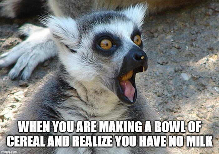 WHEN YOU ARE MAKING A BOWL OF CEREAL AND REALIZE YOU HAVE NO MILK | made w/ Imgflip meme maker