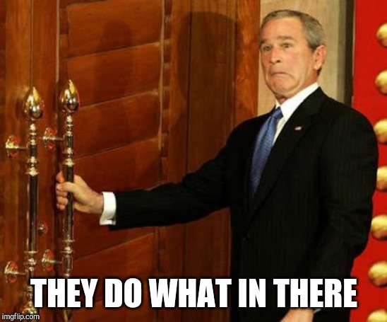 Scared George W Bush | THEY DO WHAT IN THERE | image tagged in the look on your face | made w/ Imgflip meme maker