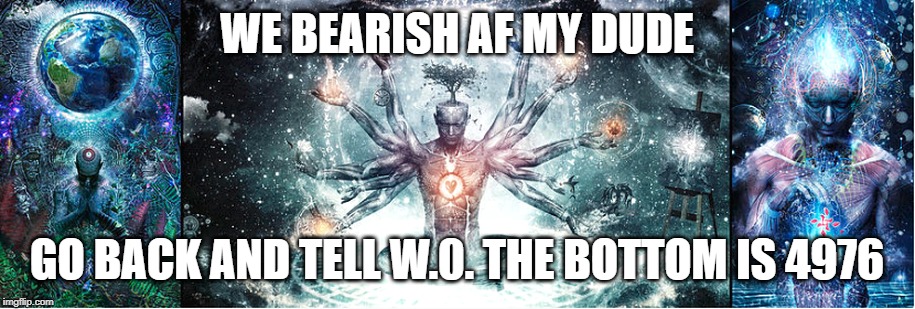 WE BEARISH AF MY DUDE; GO BACK AND TELL W.0. THE BOTTOM IS 4976 | made w/ Imgflip meme maker