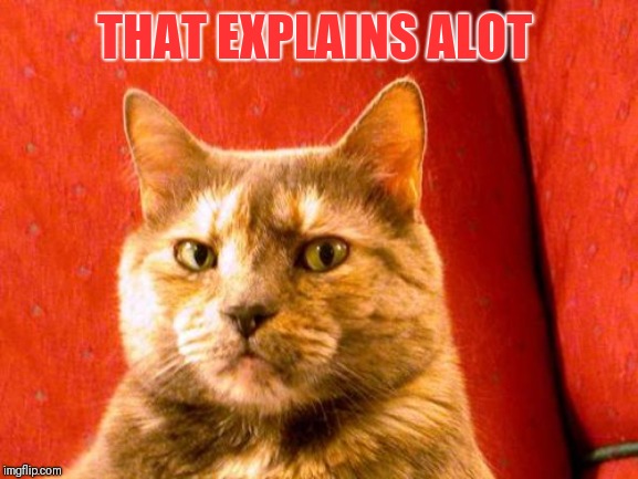 Suspicious Cat Meme | THAT EXPLAINS ALOT | image tagged in memes,suspicious cat | made w/ Imgflip meme maker